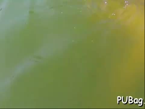 Lurid cock satisfying